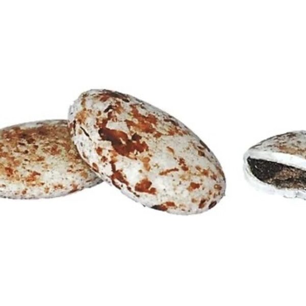 Suikerbonen Mat Marmer Hazelnoot 1 KG | Papa Chocolat